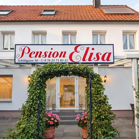 Elisa